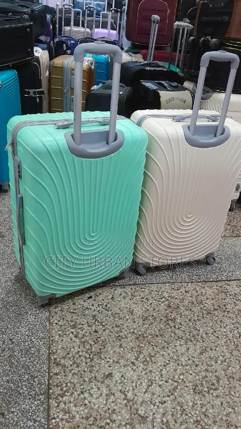 Coeur Plastic Suitcase