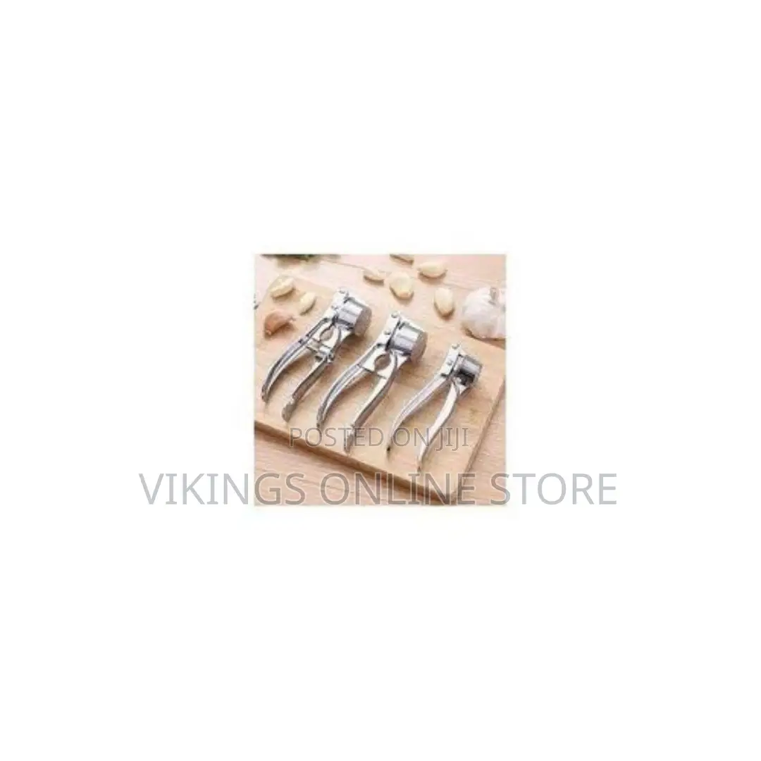 Stainless Steel Garlic Press - Silver