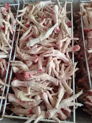 Chicken Legs for Dog Food