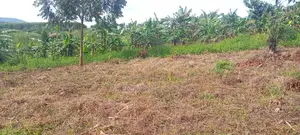 5acre Tittle Land at Kibibi 23million Each Acre