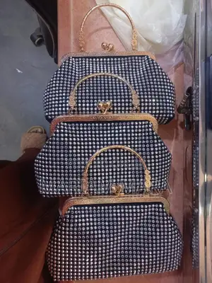 Hand Bag / Lady's Hand Bag