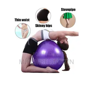 Exercise Gym Ball.