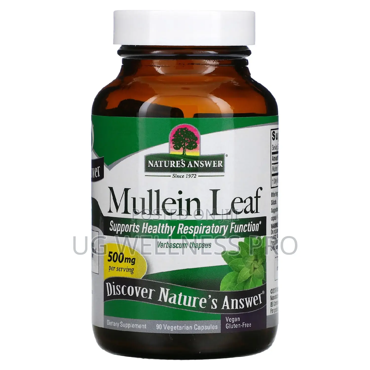 Nature's Answer, Mullein Leaf, 500 Mg, 90 Veg Capsules