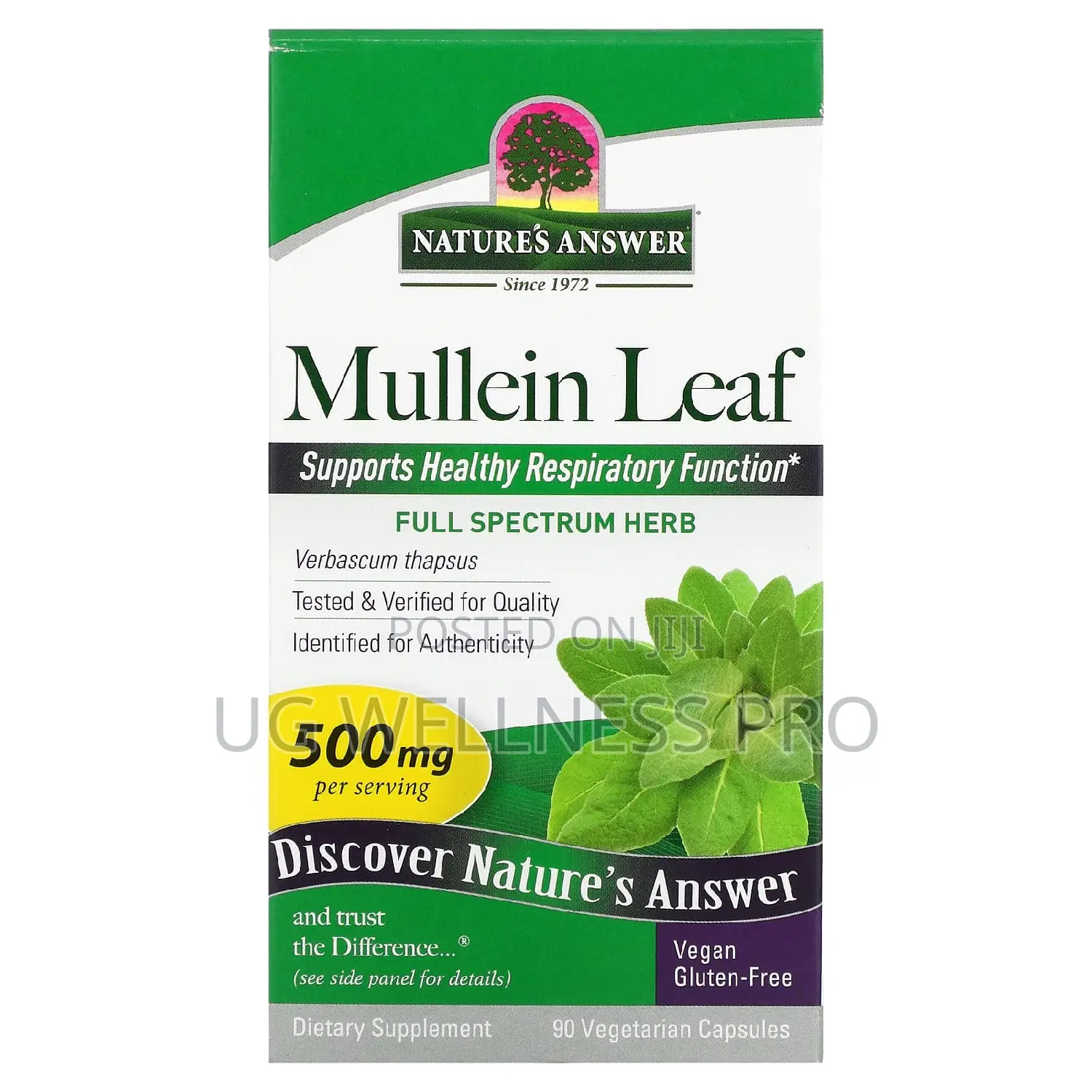 Nature's Answer, Mullein Leaf, 500 Mg, 90 Veg Capsules