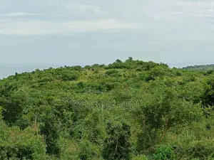 5 Square Miles in Hoima District on Sale