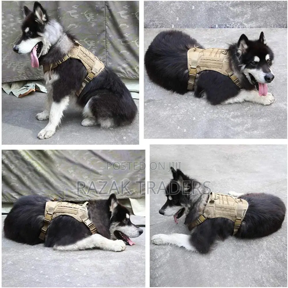 Tactical Service Dog Vest Training Hunting Nylon Adjustable