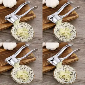 Stainless Steel Garlic Press