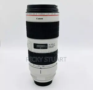 Canon Telephoto Zoom Lens Ef 70-200mm F2.8L III Usm