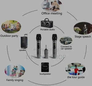 Portable Handheld Wireless Microphone