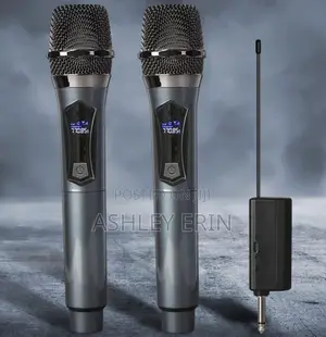 Portable Handheld Wireless Microphone