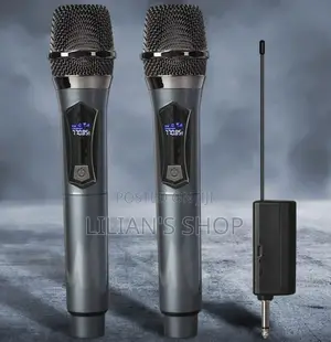 Portable Handheld Wireless Microphone