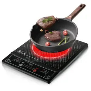 Commercial Infrared Cooker
