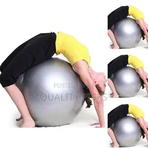 Silver in Color Gym Ball