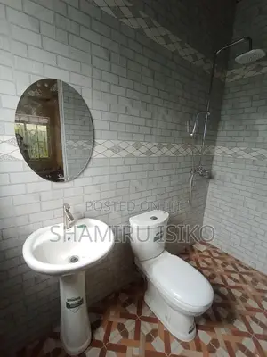 Professional Plumbers