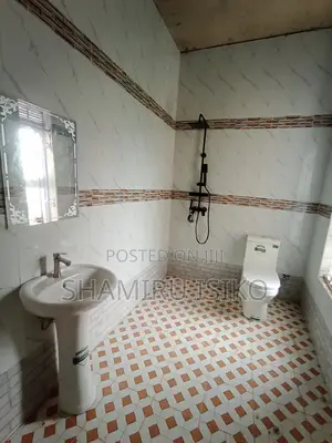 Professional Plumbers