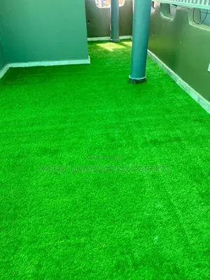 Grass Carpets( Artificial Turf)