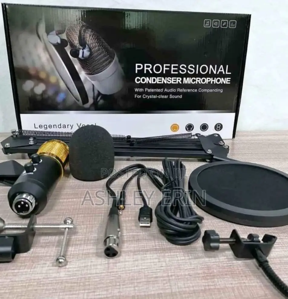 Excellent Professional Condenser Microphone