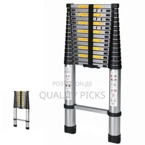 Telescopic Adjustable Ladder