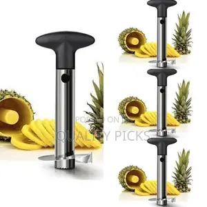 Pineapple Cutter