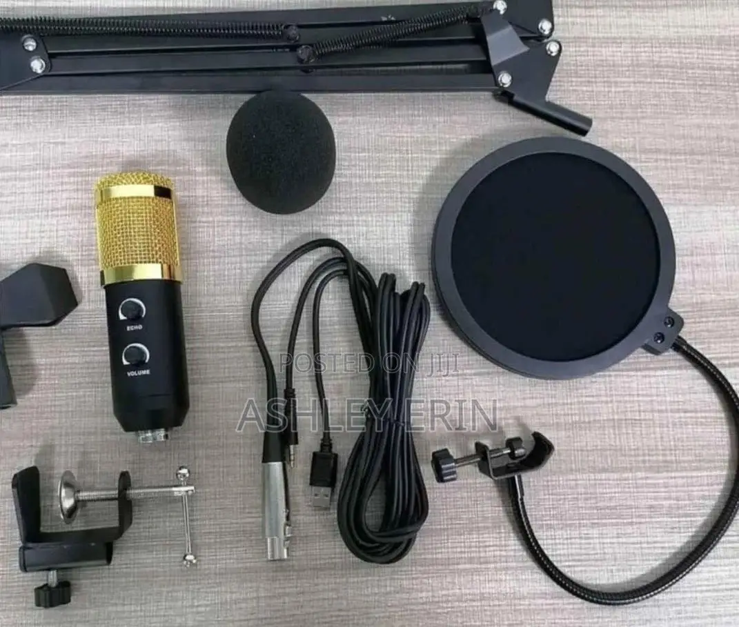 Excellent Professional Condenser Microphone