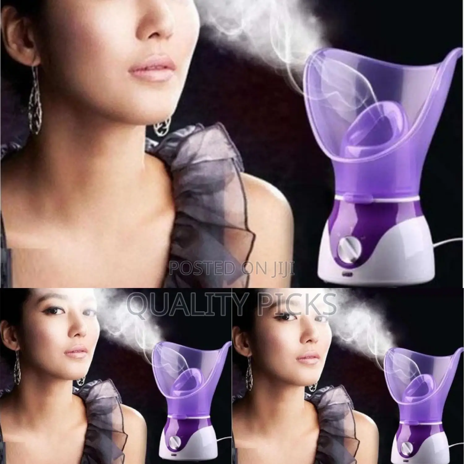 Electric Portable Facial Steamer
