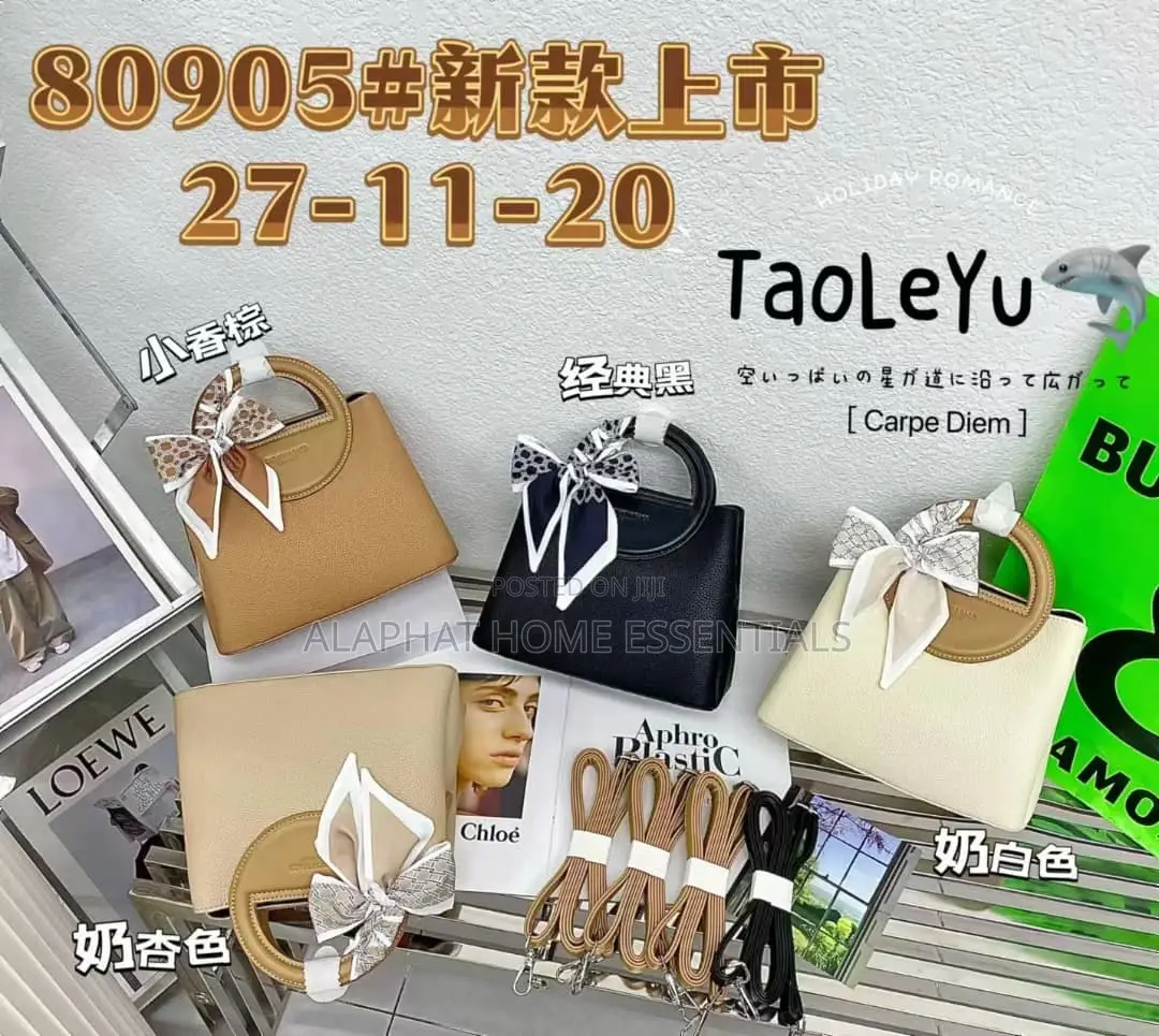 Ladies Modern Bags