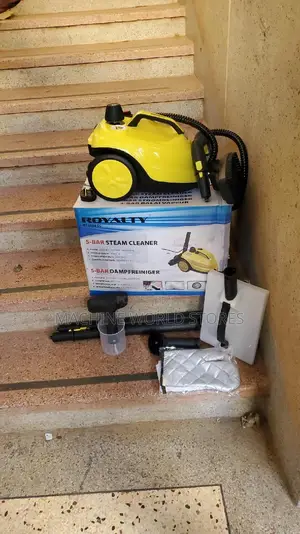 Steam Cleaner.