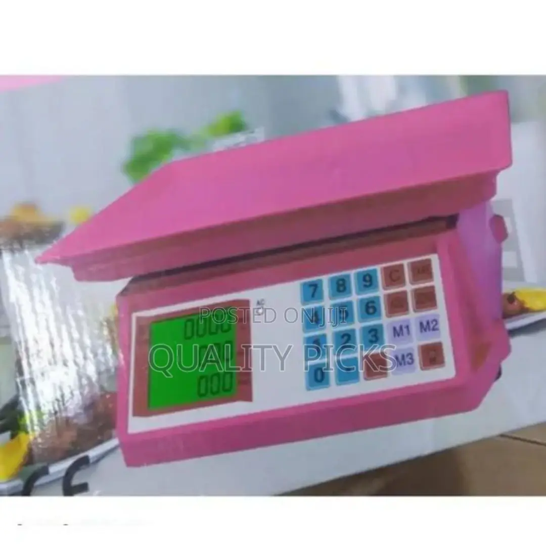 Portable Digital Scale