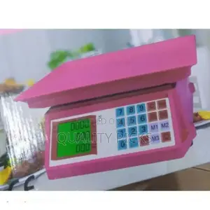Portable Digital Scale