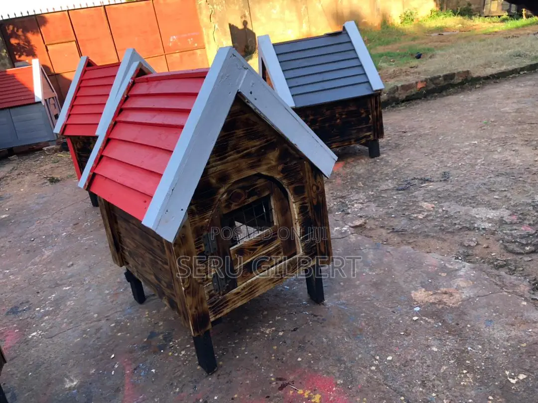 Small Dog House Available