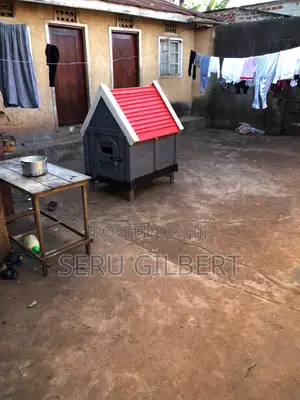VNJHHB Nice Dog House Available