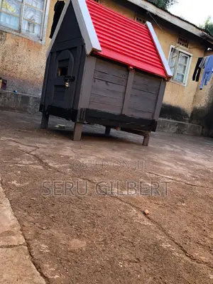 NBGVV Nice Dog House Available
