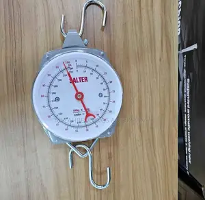 Salter Mechanical Weighing Scale-Silver