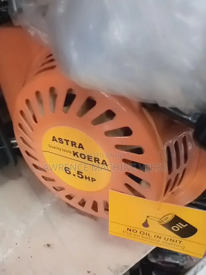 Gasoline Generator 3000W