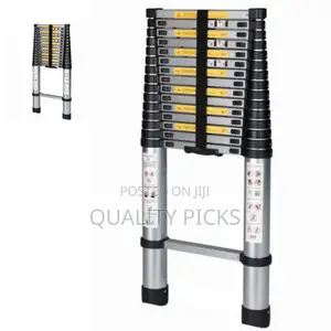 Brand Adjustable Ladder