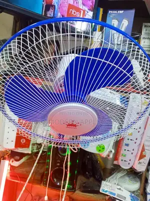 Wall Mounted Fan
