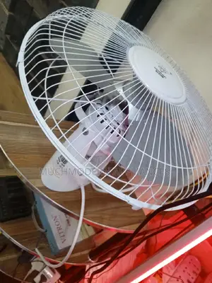 Ceiling Fan