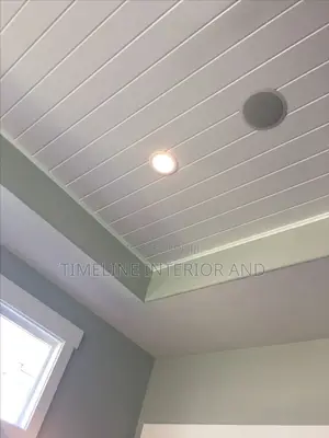 Gypsum Drywall Ceiling and PCV Ceiling.