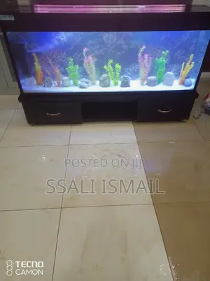 Best Black Aquarium and Best Interior