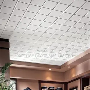 Suspended Ceiling Tiles