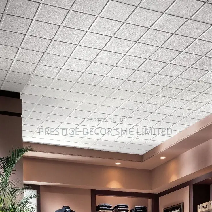 Suspended Ceiling Tiles