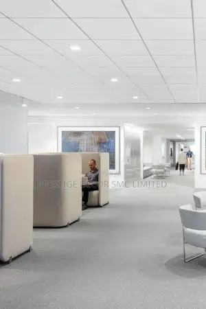Suspended Ceiling Tiles