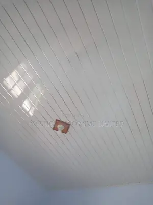 Ceiling Pvc43