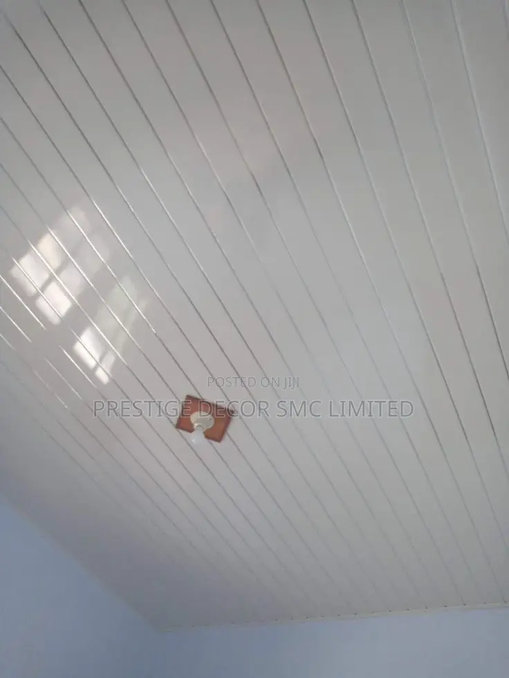 Ceiling Pvc43