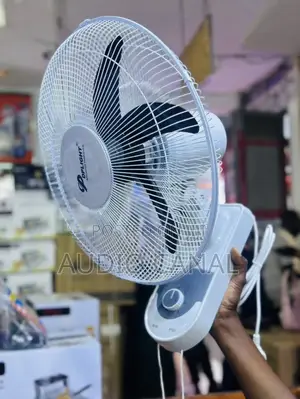 Wall Fan 16”
