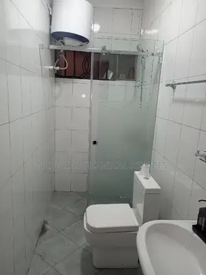 Sliding Frameless Glass Bathroom Doors