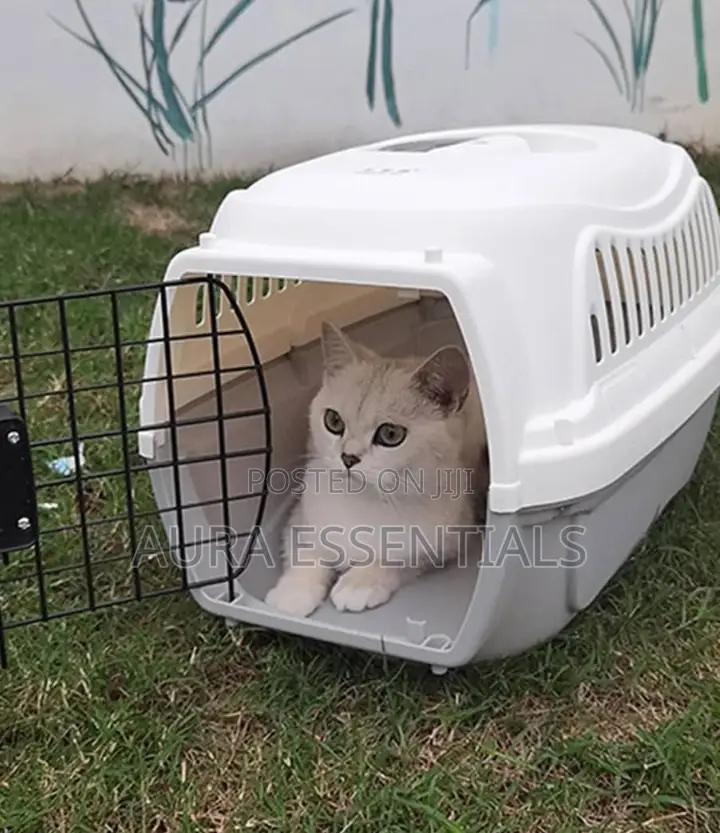 Portable Cat/Dog Carrier Crate