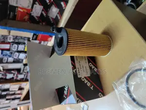 Oil Filter BMW X3-X4 F25