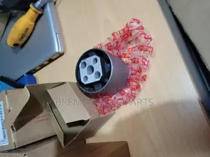 Differential Bush Volkswagen Tourage
