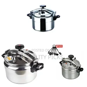 Brand Electric Stainless Steel Pressure Cooker